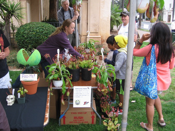 Kids check out a bunch of carnivorous plants in Balboa Park!
