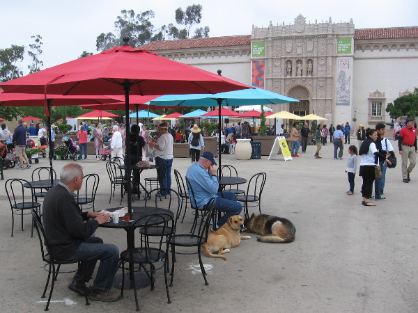Folks in Balboa Park's Plaza de Panama relax as the Second Annual Garden Party gets underway with some speeches.