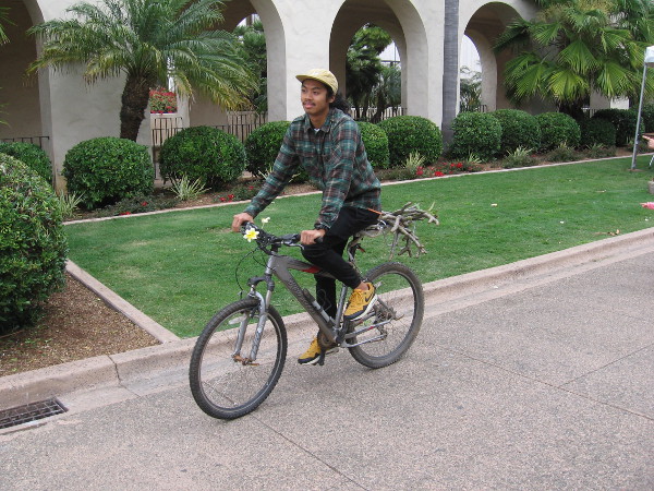 This guy on a bike riding down El Prado purchased some Plumeria stems.