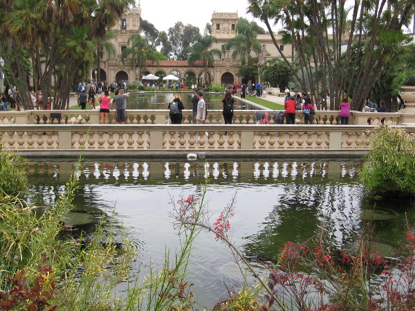 Looking across the Balboa Park reflecting pool on a cloudy spring day in San Diego.