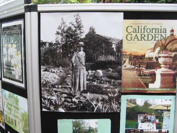 Old photo of Kate Sessions, often called the Mother of Balboa Park. She planted many of the park's original trees that visitors enjoy today