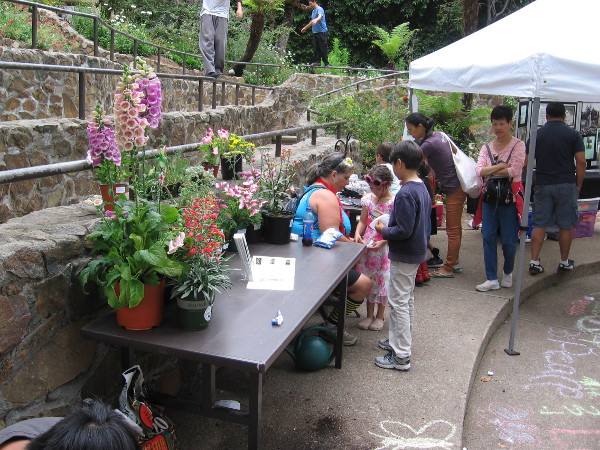 The Garden Party included lots of art, creativity, plus an inspiring, hourly butterfly release in the Zoro Garden!